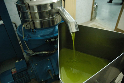 Corte Malgiacca - Olive Oil